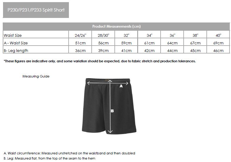 Falcon Panelled Mesh Sports Short